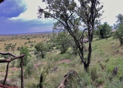 serengeti simba lodge tanzanie