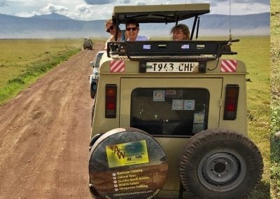 safari ngorongoro lion