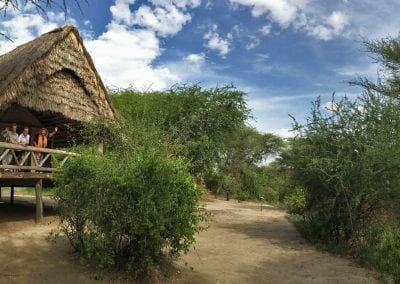 safari camp tarangire tanzania