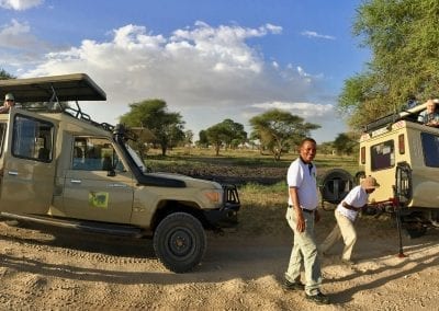 safari serengeti