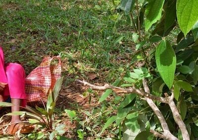 spices plantation zanzibar